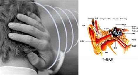 右耳鳴|耳朵嗡嗡叫，持續耳鳴怎麼辦？一文看懂「耳鳴」的8。